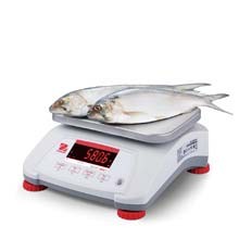 Portion Control Scales