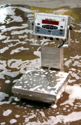 Rice Lake CW-90X Washdown