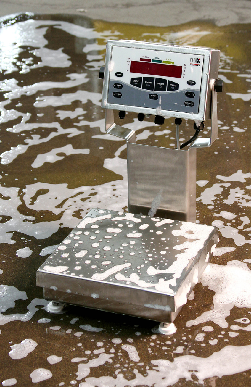 Rice Lake CW-90X Washdown